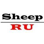 Sheep_Rulesz