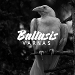 Baltasis_Varnas