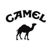 Vilius_Camel