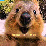 Anal_Terror