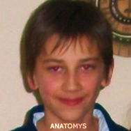 Arnas_Anatomys