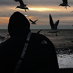 Dillon_Danis