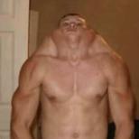 Owa_Plikasis